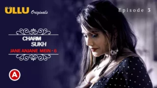 Jane Anjane Mein 6 E3 (Charmsukh) Watch Online