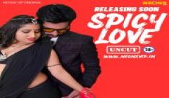 Spicy_Love_NeonX_Originals 2024 Hindi Hot Web Series