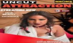 Attraction_NeonXHD_-Hindi_Series-Originals_2024 Web Series